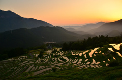 千枚田夕景