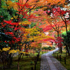 鹿王院参道2