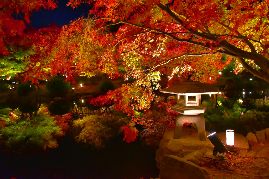 東寺の夜