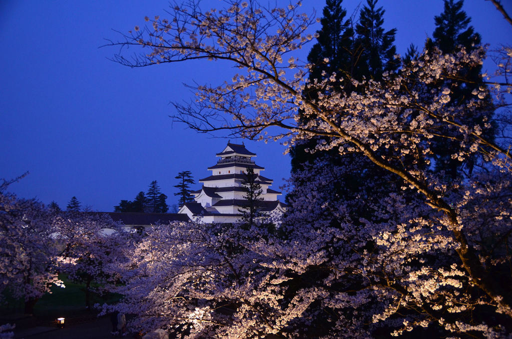 桜雲海鶴ヶ城2