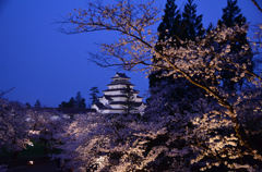 桜雲海鶴ヶ城2
