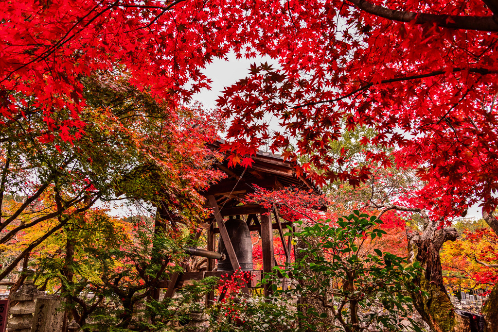 化野念仏寺の紅葉