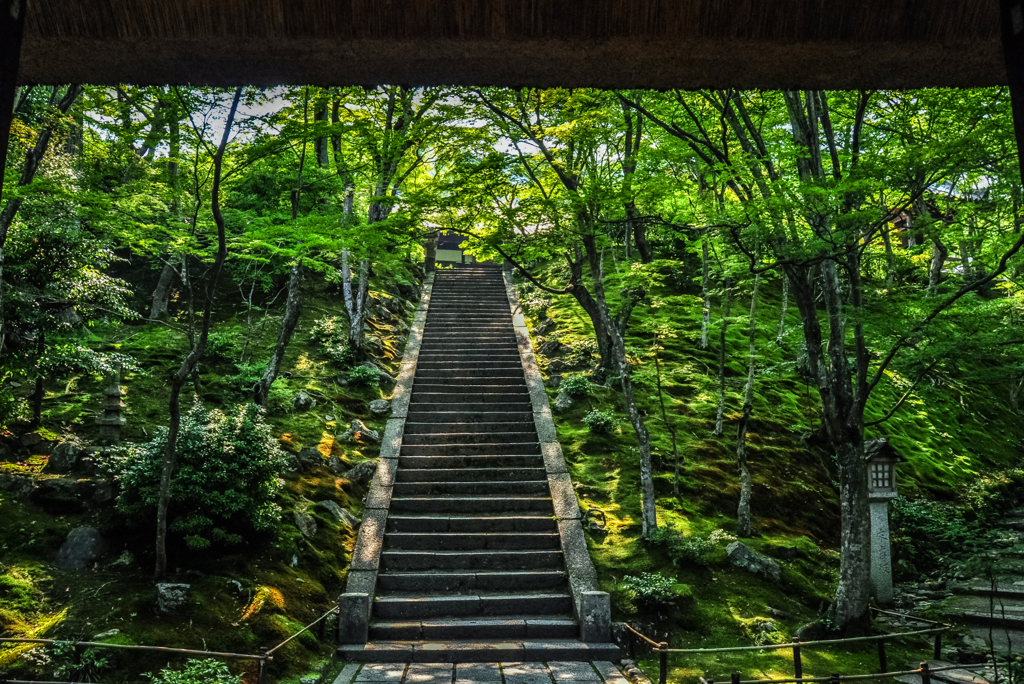 九年前の常寂光寺