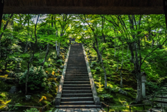 九年前の常寂光寺