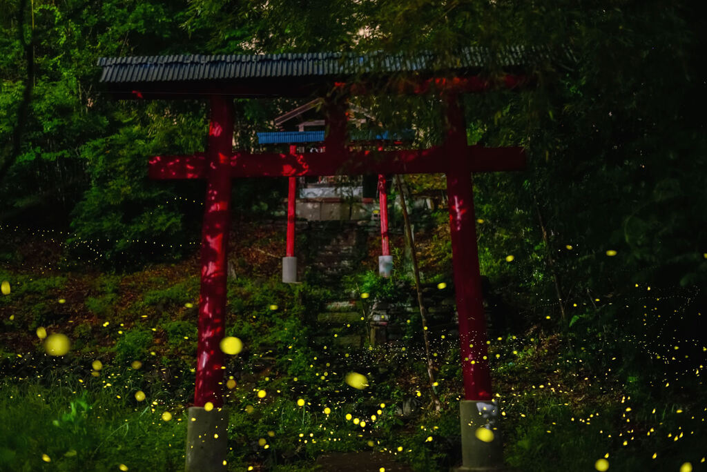 雨天コールド