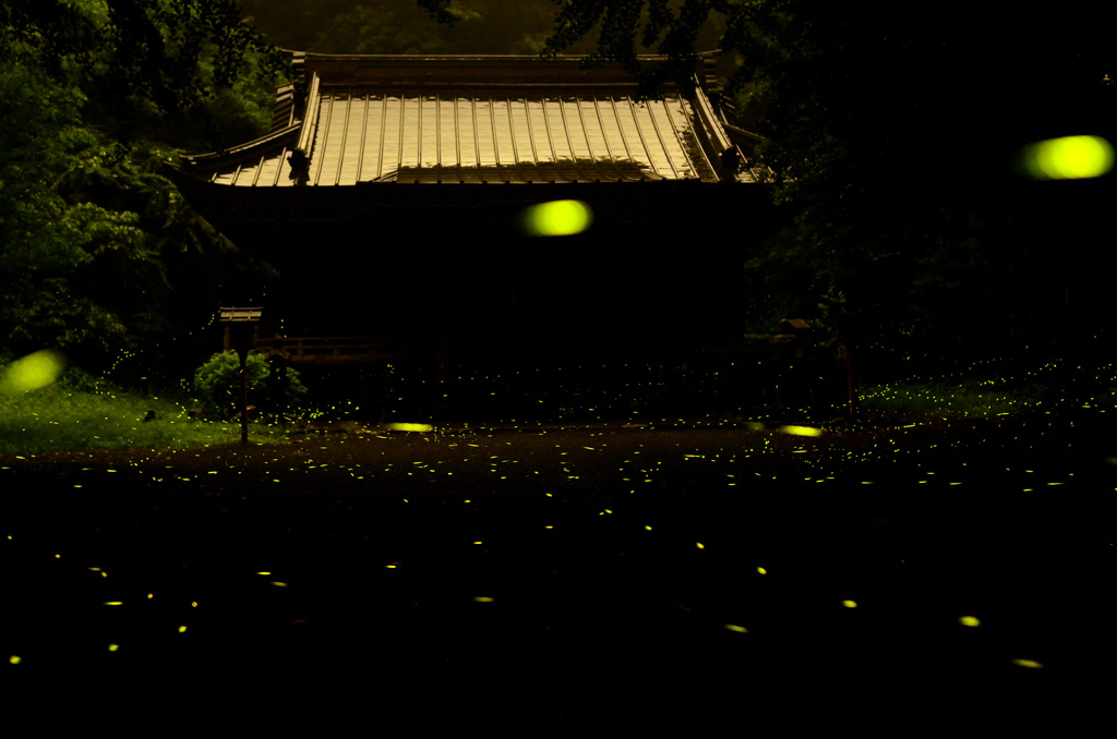 二岡神社