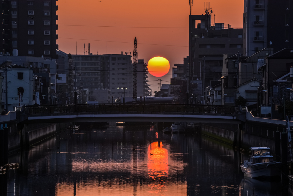 呑川のグラデーション朝日