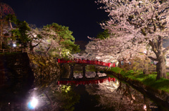 弘前の夜桜