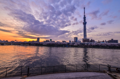 六年前の隅田公園