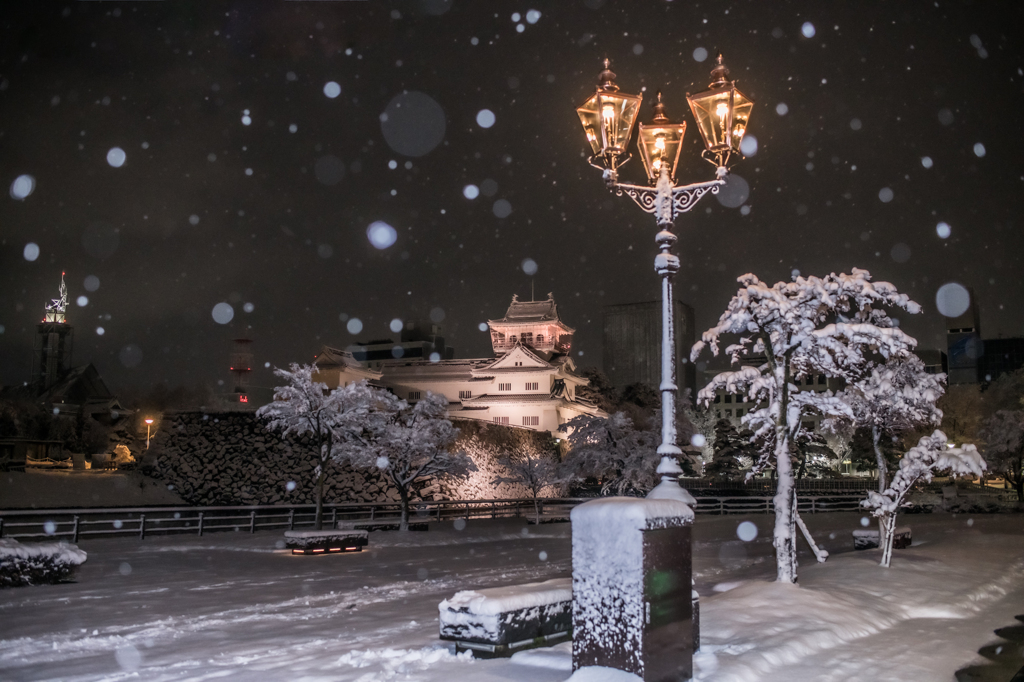 富山の雪景色(速報版)