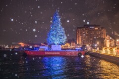 函館のクリスマス(速報版)