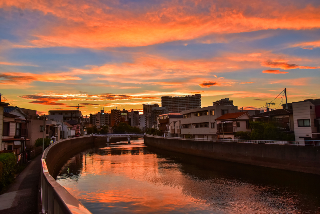 吞川の夕焼け