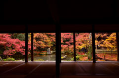 蓮華寺 額縁紅葉