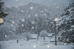 モノトーンの朝(速報版)