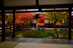 建仁寺潮音庭