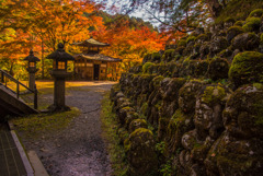 愛宕念仏寺の紅葉(速報版)