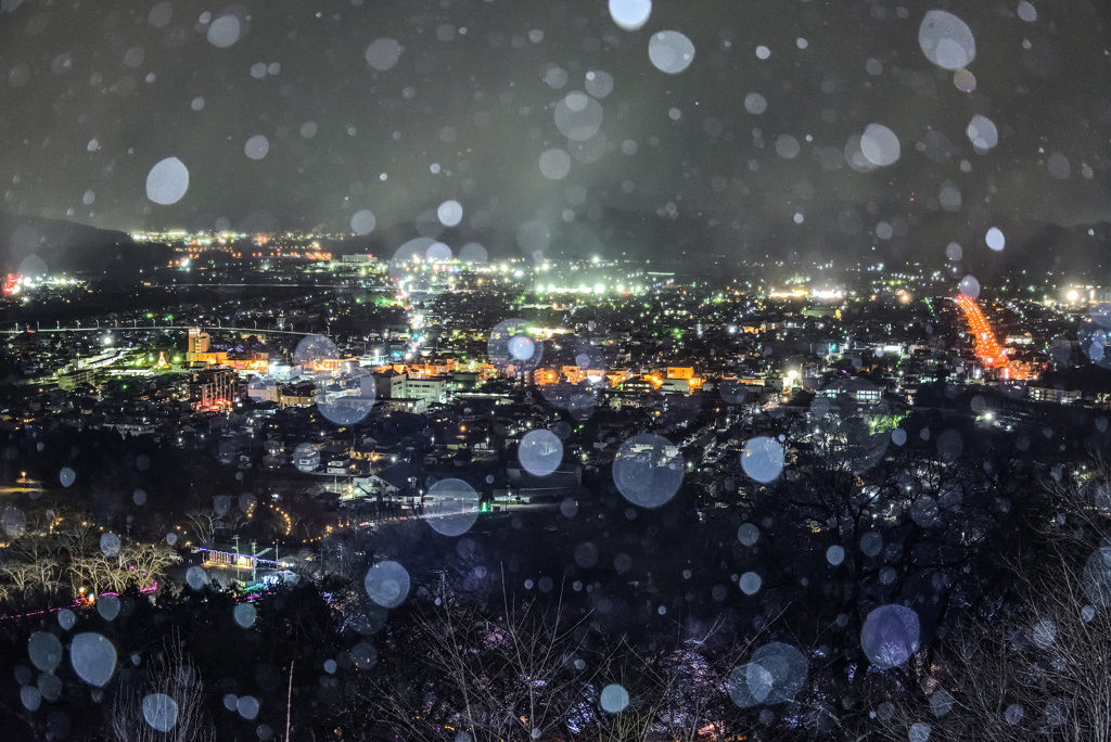 船岡城址公園の雪夜景