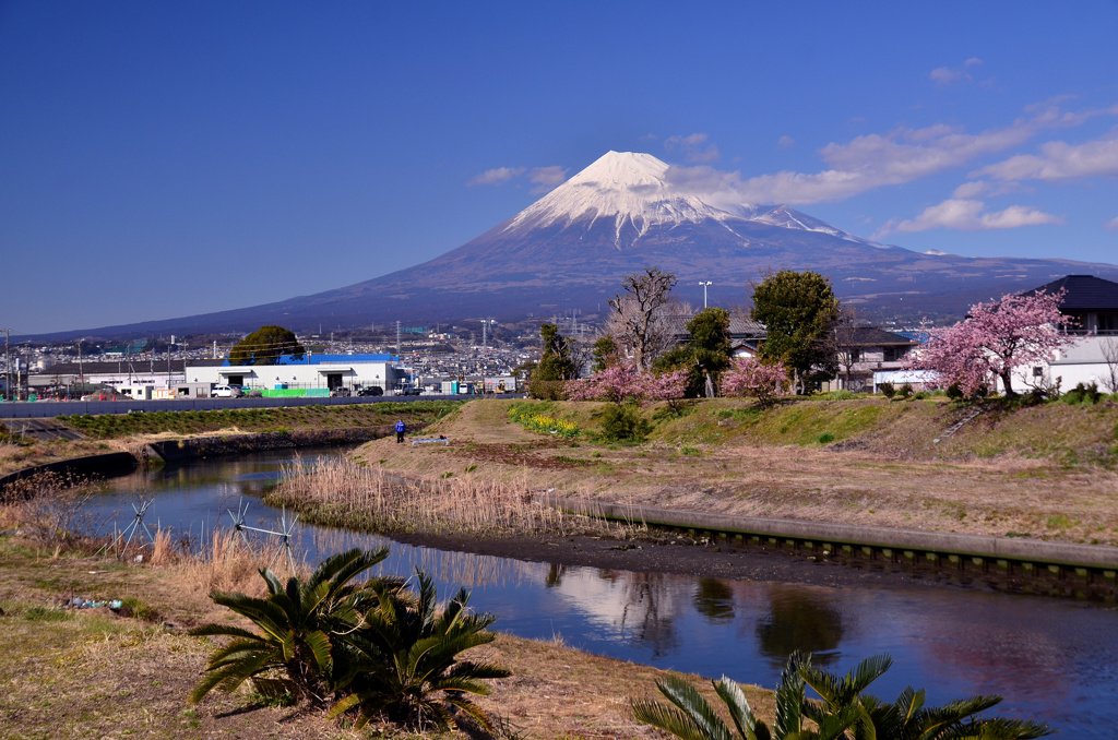 和田川