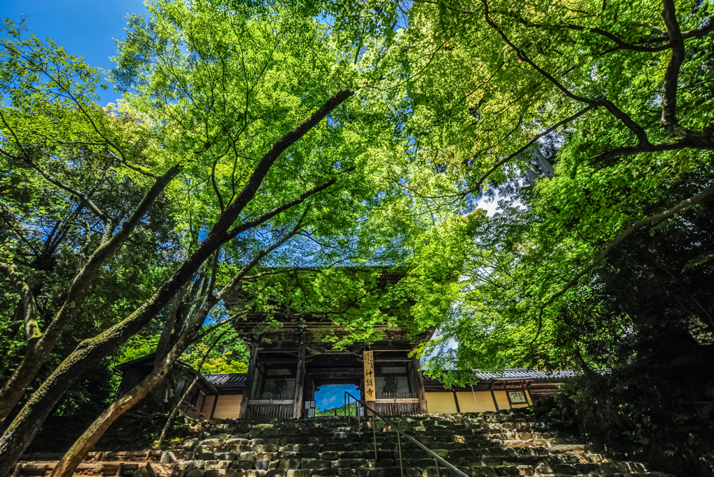 十年前の高雄神護寺