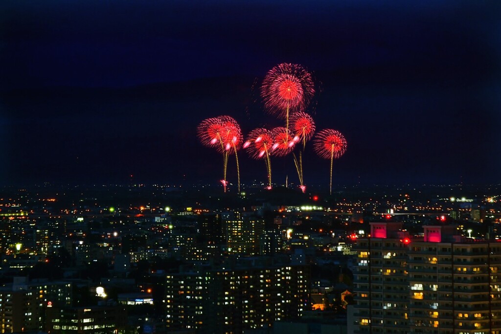 モエレ沼芸術花火(現地投稿版)