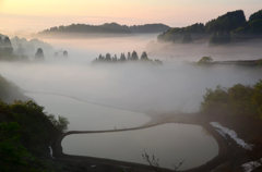 朝霧の棚田