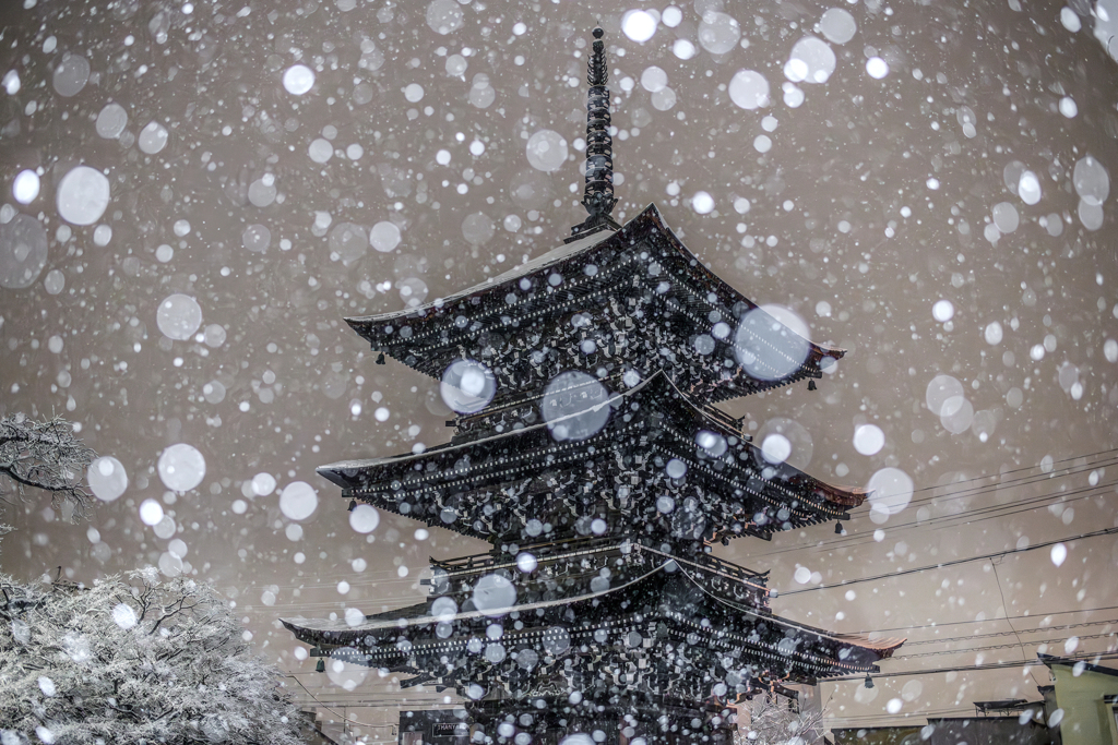 飛騨国分寺の雪景色
