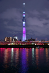 隅田公園夜桜