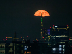 赤いアンブレラ