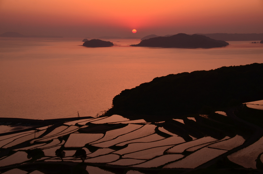 土谷の棚田夕景2