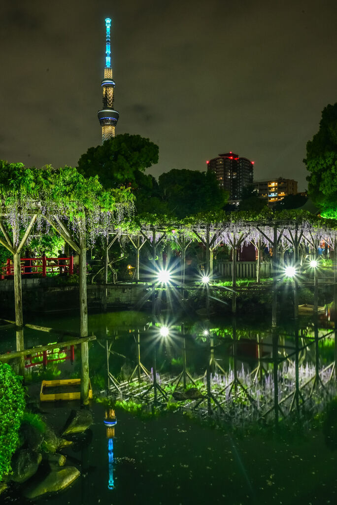 夜の亀戸天神