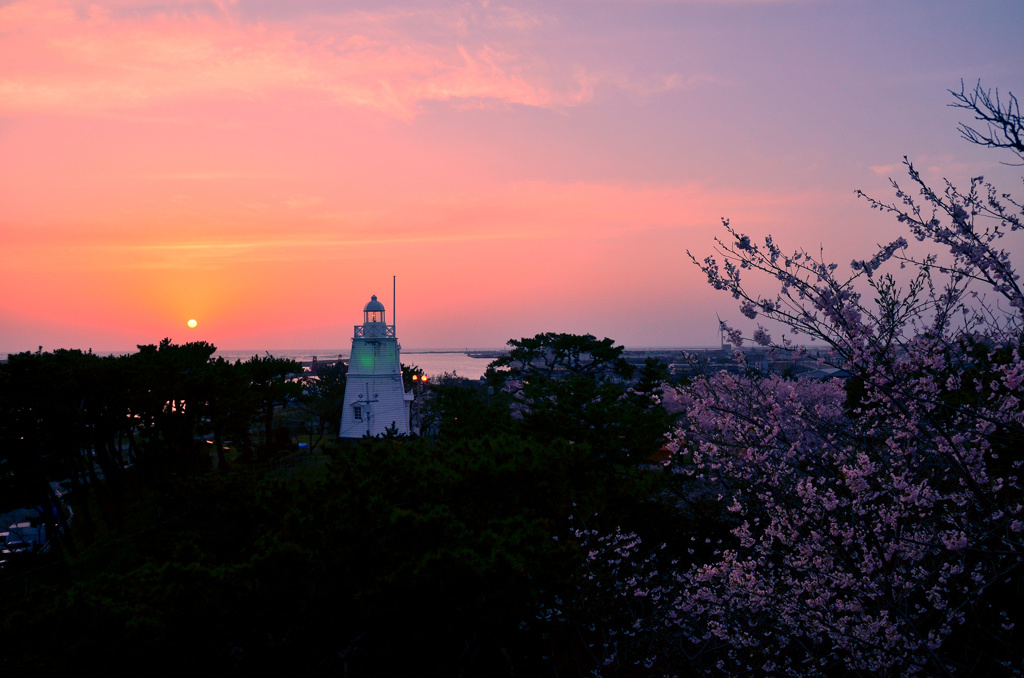 桜と夕日と六角灯台