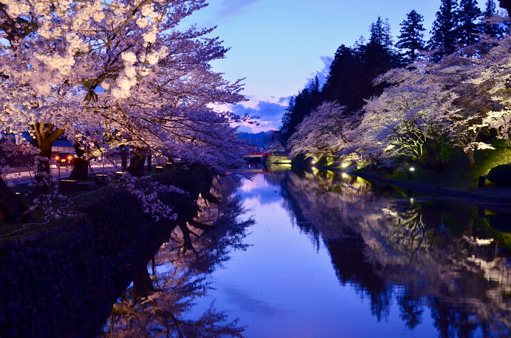 松岬公園の夜桜