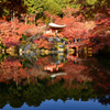 醍醐寺弁天堂の紅葉