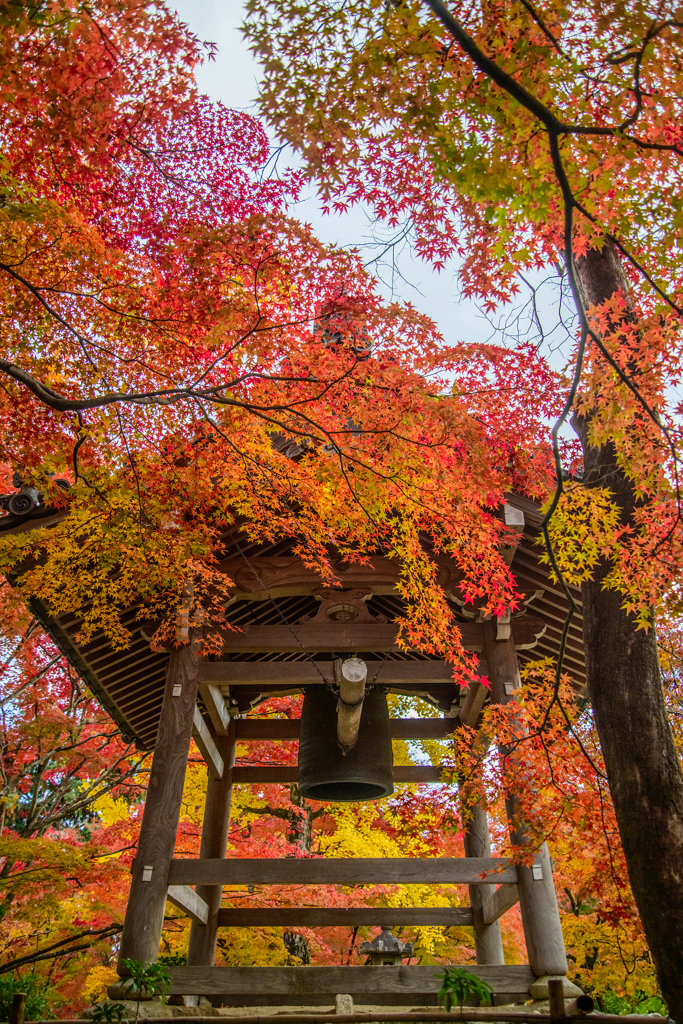 常寂光寺の紅葉
