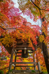 常寂光寺の紅葉