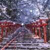 貴船神社の雪景色(速報版)