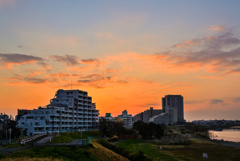 多摩川の夜明け