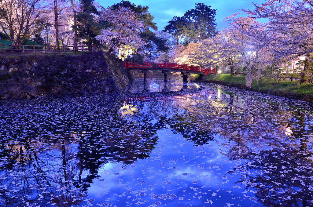 春の夢のような