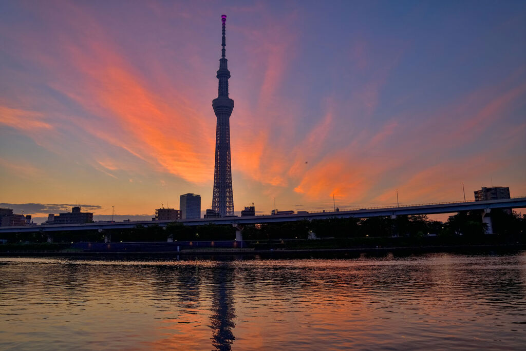 隅田川の夜明け2