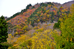 布岩の紅葉2