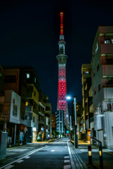 タワービュー通り