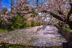 二年前の松岬公園