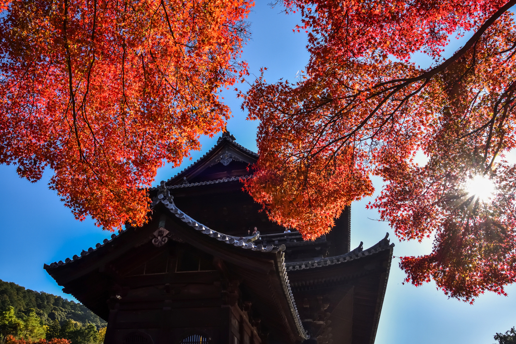 南禅寺の紅葉