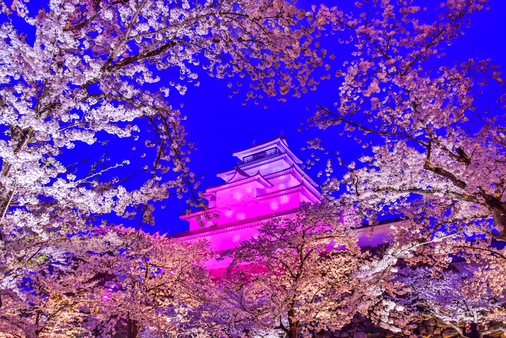 二年前の鶴ヶ城公園