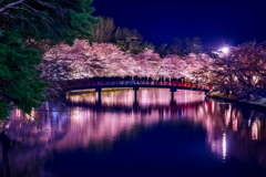 去年の弘前公園 春陽橋