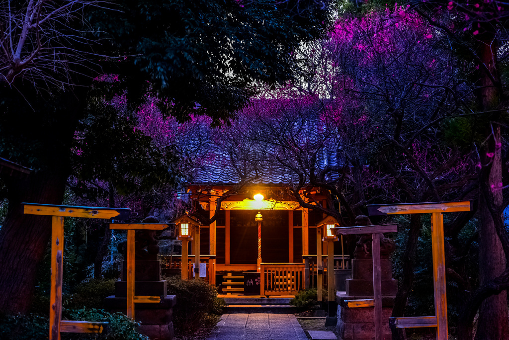 夜の北野天神