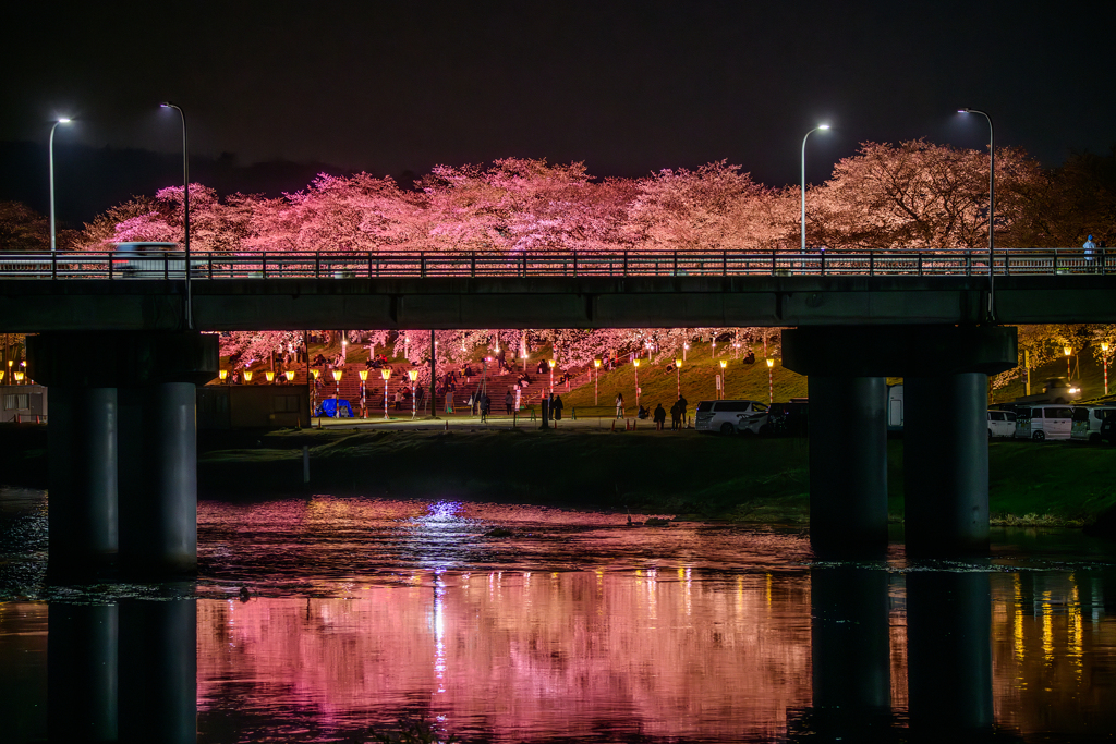 おおがわら桜まつり2