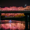 おおがわら桜まつり2