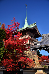祇園閣の紅葉