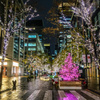 丸の内イルミネーション